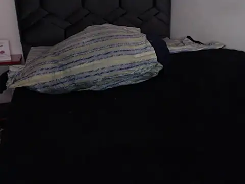 danypalmer – Kamerová šou