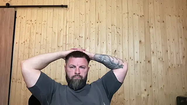 Show de AlphaSparks na webcam