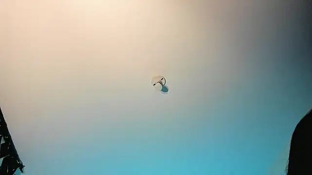 Show Webcam de stanandrose_