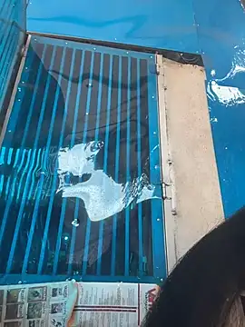 Clara8899 网络视讯表演