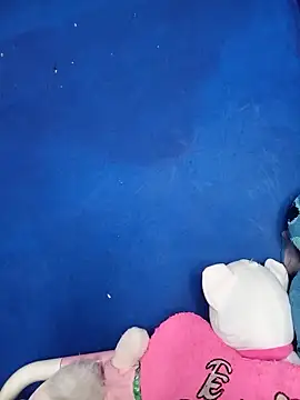 Megan_nicaのウェブカ  メラショー