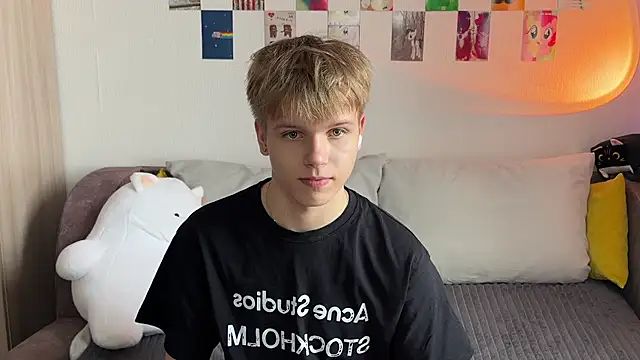 Pertunjukan Kamera Web metarion