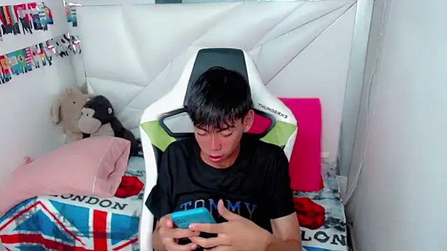 Show modela Liarr_ na web-kameri