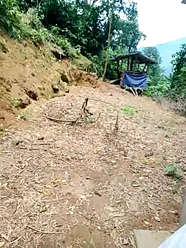 ngockem 即時 XXX 聊天