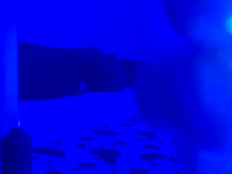 Nyto_bcnのウェブカメラショー