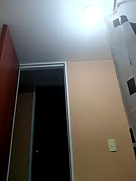 LucaColmal 网络视讯表演