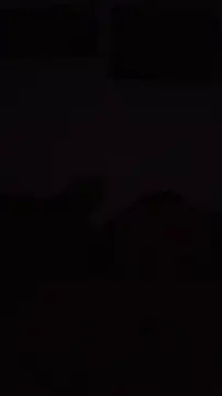 Show Webcam de Electriboy90