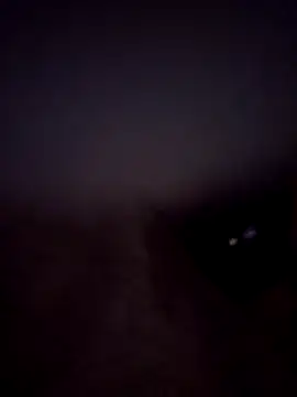 LD1980 live XXX chat