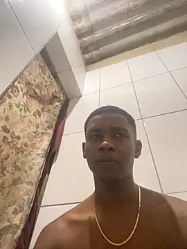 M12_DANADOn Webbikameraesitys