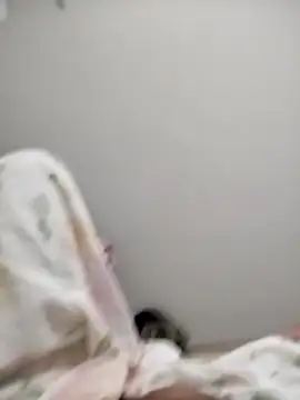 tubarao19n Webbikameraesitys