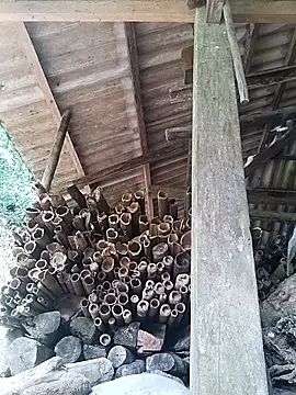 miss-su's Live XXX Chat