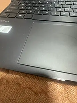 Searl- 在線直播表演