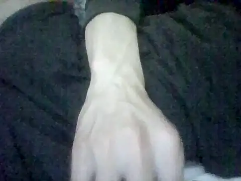 عرض كام ALLDOMX