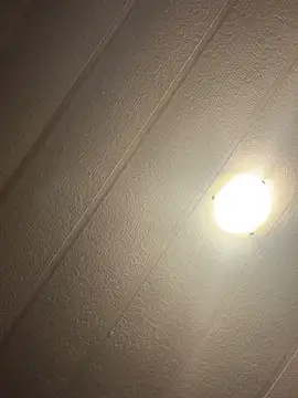 Chatroom XXX en direct de skinwalkingzombie