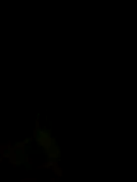 Онлайн чат XXX S7LEALTADPERVLIMA7