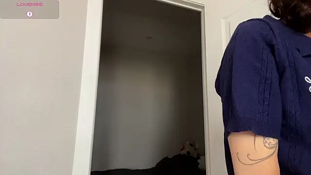 SibleyBurnerのウェブカメラショー