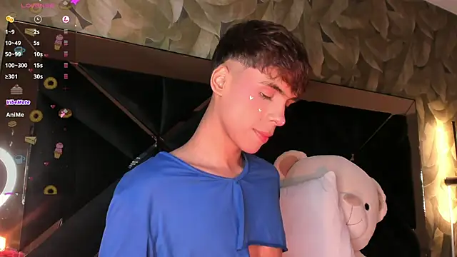 KaelSoft_ Webcam Show