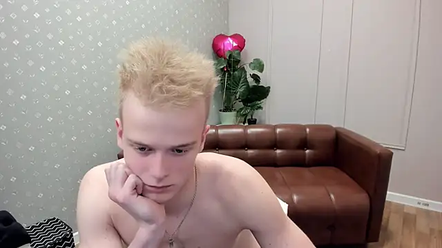 Dattouzn Webbikameraesitys