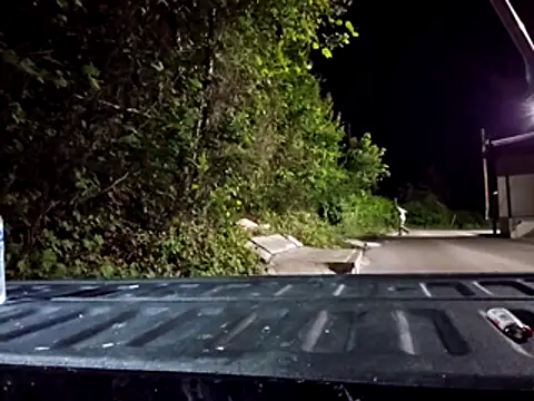 sloppytopkins 网络视讯表演