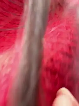 luna-sisi Adlı Modelin Web Kamerası Şovu