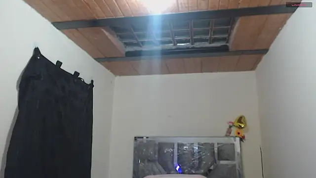 Sembang XXX Secara Langsung toxxxic_cams