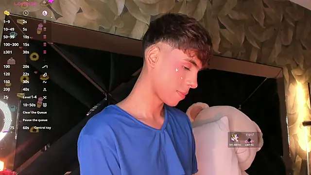 KaelSoft_n Webbikameraesitys