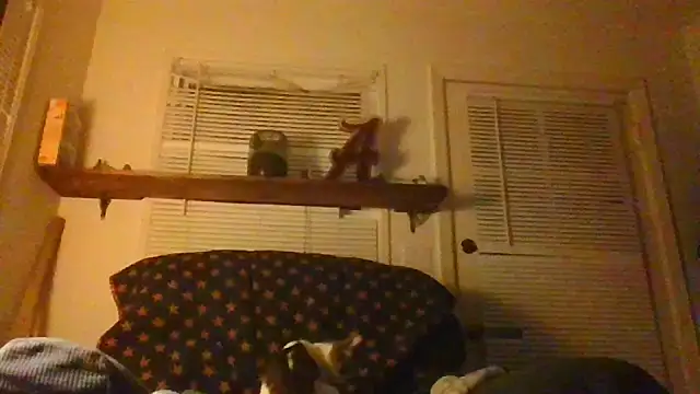 ajsin7's Webcam Show