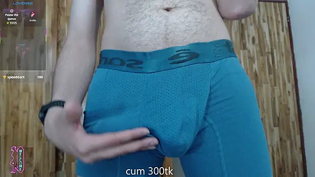 Show Webcam de Vlad__night