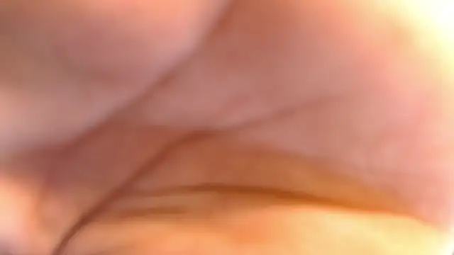 _AsianHinata_ Live XXX-chat