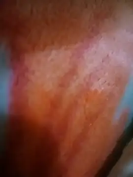 عرض كام Safah2