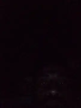 desibullboybd 即時 XXX 聊天