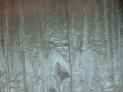 Вебкам-шоу darkerberryguy