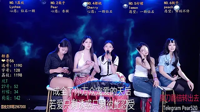 SG-0310のウェブカメラショー