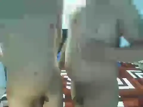 Show webcam de JARVENxblaze