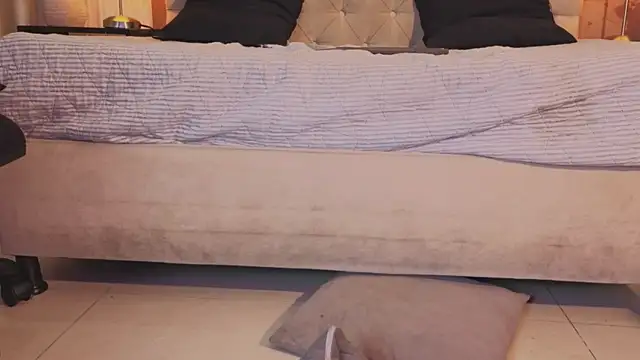 Show webcam de slim_tian