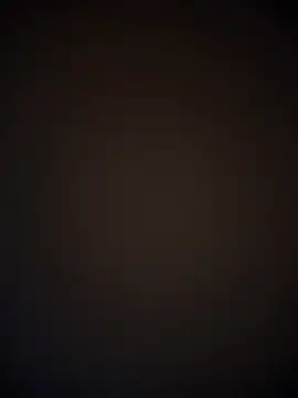 TheDime 网络视讯表演