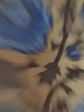 Show de webcam de kapd54