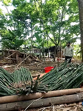 mylove-suka 在線直播表演