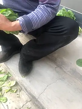 yaocaobi8 现场XXX聊天