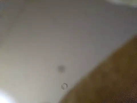 Chat XXX ao vivo de pajarol5co