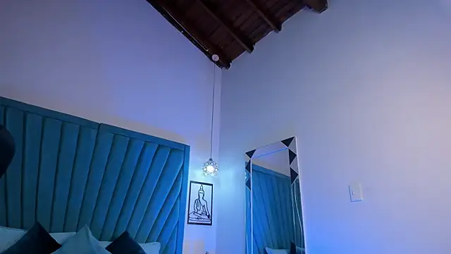 Show Webcam de OliverThompsonJS