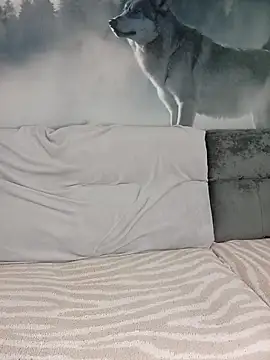 Show webcam de Aniria