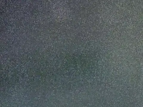 Delicious-D Webcam-Show