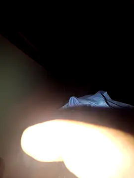 Show modela lokoporcasal na web-kameri