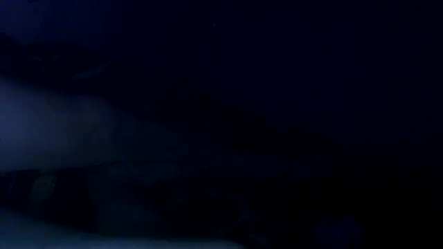 crikeycock webcam show