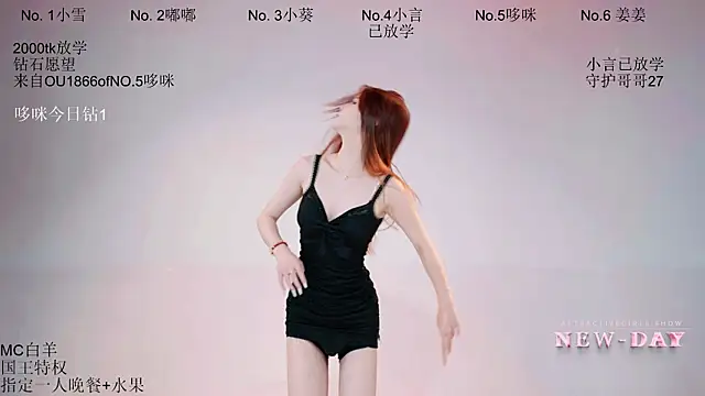 NEW-DAY002 – Kamerová šou