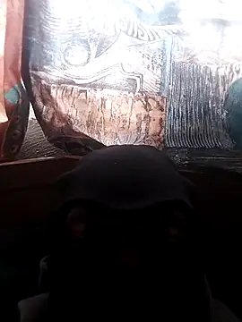 LaneYamのウェブカメラショー