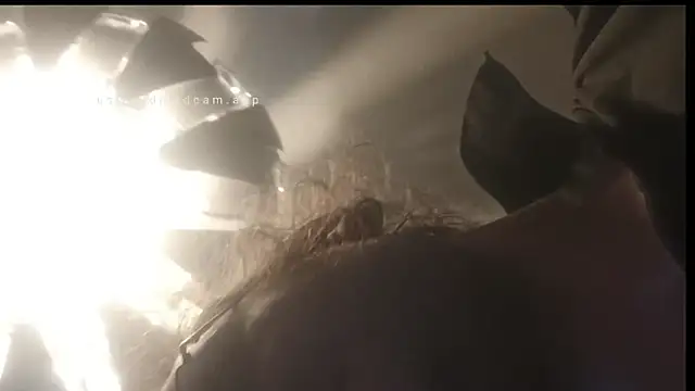 Show webcam de Thompsen1992