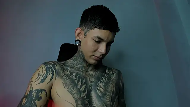 Travtanner 网络视讯表演