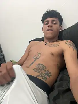 โชว์เว็บแคมของ vispera